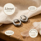 Audrey's Linnet Titanium Hoop Earrings